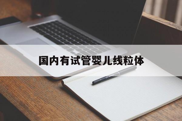 国内有试管婴儿线粒体_国内有试管婴儿线粒体疫苗吗