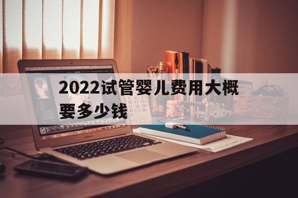 2022试管婴儿费用大概要多少钱_2022试管婴儿费用大概要多少钱呢