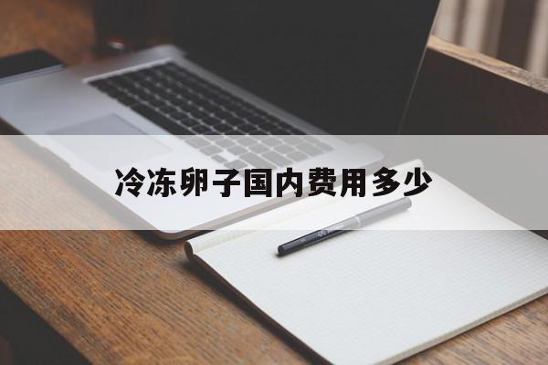 关于冷冻卵子国内费用多少的信息