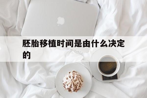 关于胚胎移植时间是由什么决定的的信息