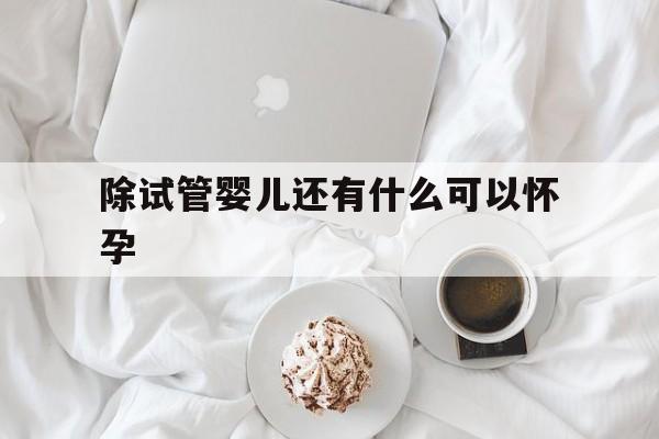 除试管婴儿还有什么可以怀孕_除了试管婴儿还有什么可以怀孕