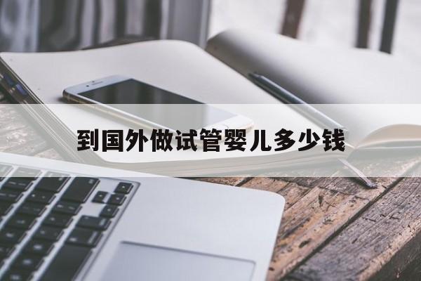 到国外做试管婴儿多少钱_去国外做试管婴儿的女人叫什么名字