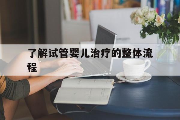 关于了解试管婴儿治疗的整体流程的信息