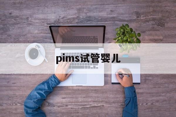 pims试管婴儿_2023试管婴儿价目表