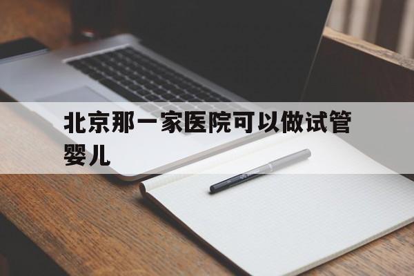 包含北京那一家医院可以做试管婴儿的词条