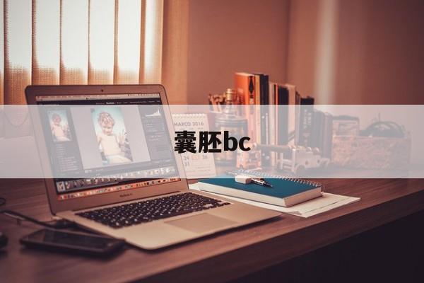 囊胚bc(囊胚BC等级,可以做pgs检测吗)