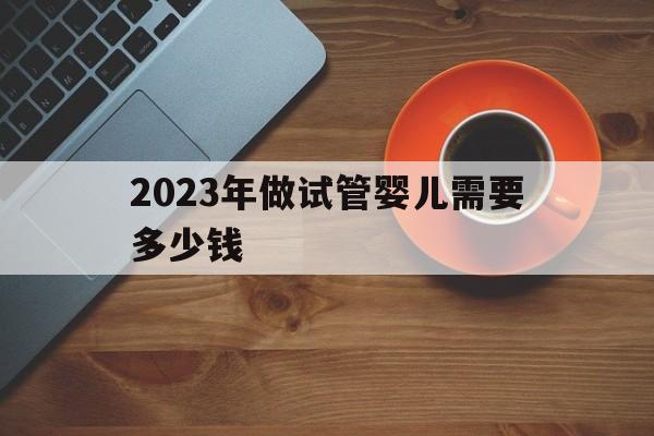 2023年做试管婴儿需要多少钱(2023年做试管婴儿需要多少钱费用)