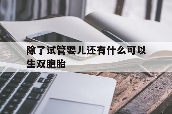 包含除了试管婴儿还有什么可以生双胞胎的词条