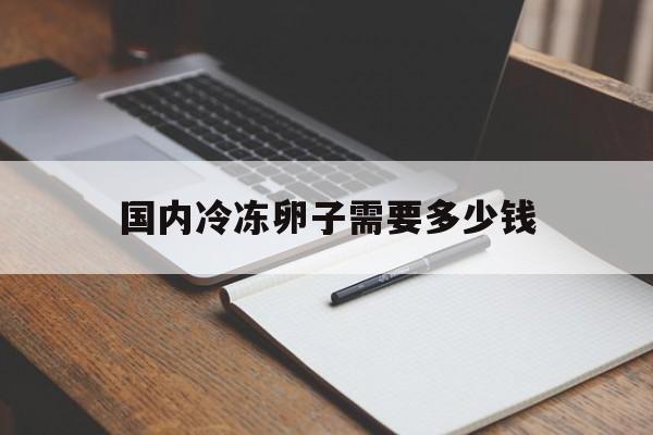 国内冷冻卵子需要多少钱的简单介绍