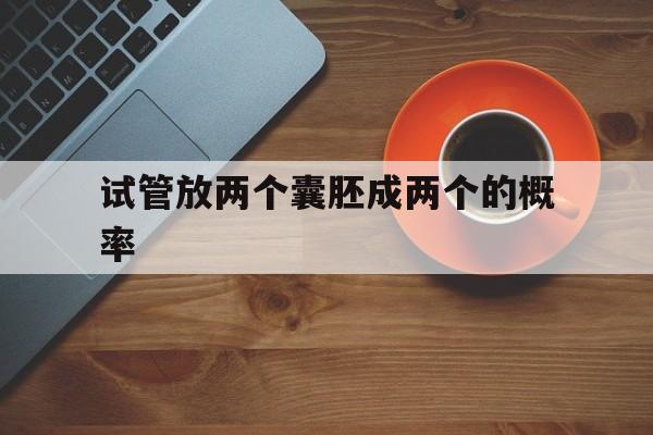 试管放两个囊胚成两个的概率_试管放了两个囊胚会是龙凤胎吗