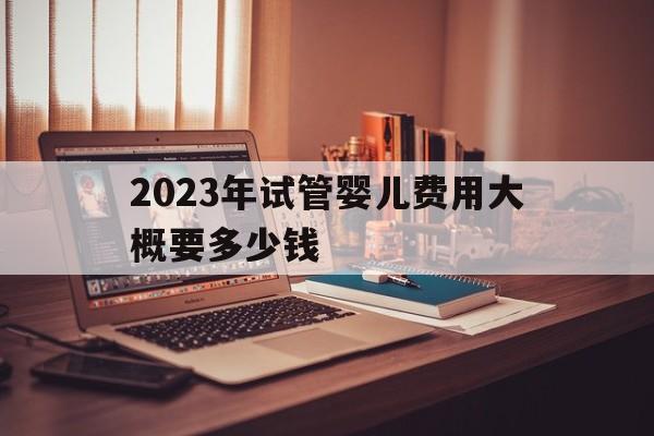 2023年试管婴儿费用大概要多少钱_试管婴儿费用大概要多少尸钱2023年