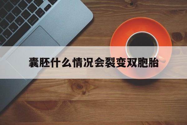 囊胚什么情况会裂变双胞胎_囊胚什么情况下会变成2个