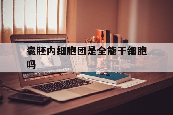 囊胚内细胞团是全能干细胞吗_囊胚内细胞团是全能干细胞吗为什么