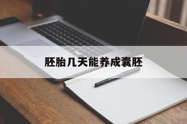 胚胎几天能养成囊胚(三级胚胎可以养成优质囊胚吗)