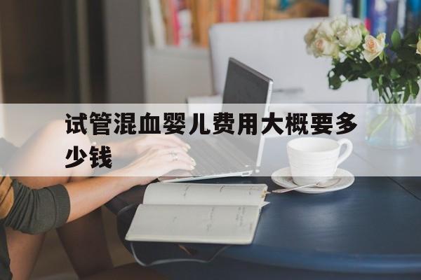 关于试管混血婴儿费用大概要多少钱的信息