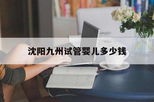 沈阳九州试管婴儿多少钱_沈阳做试管婴儿多少钱大概