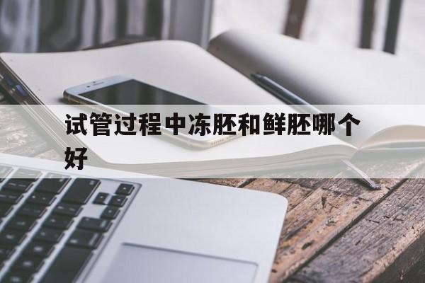 试管过程中冻胚和鲜胚哪个好_试管的冻胚和鲜胚有什么区别?