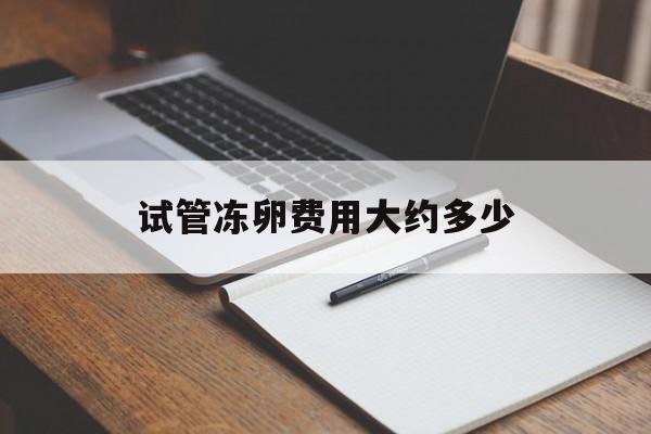 试管冻卵费用大约多少_冻卵试管婴儿是什么意思?