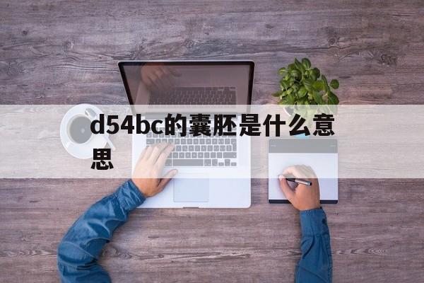 d54bc的囊胚是什么意思_d54bb的囊胚几天能试出来