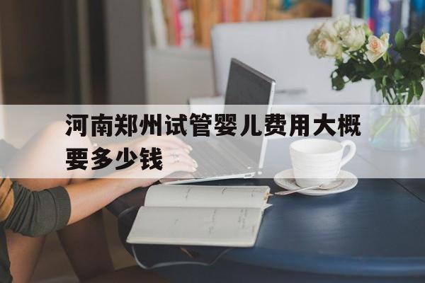 河南郑州试管婴儿费用大概要多少钱_河南郑州试管婴儿费用大概要多少钱一次