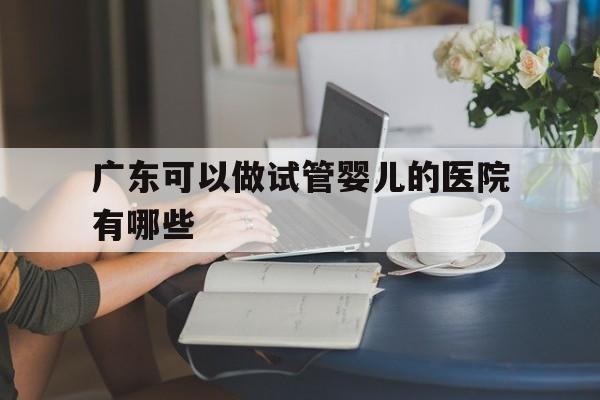 广东可以做试管婴儿的医院有哪些(广东可以做试管婴儿的医院有哪些地方)