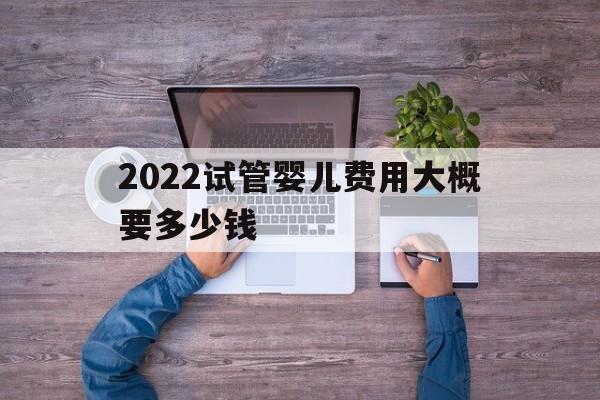 2022试管婴儿费用大概要多少钱(2022试管婴儿费用大概要多少钱呀)