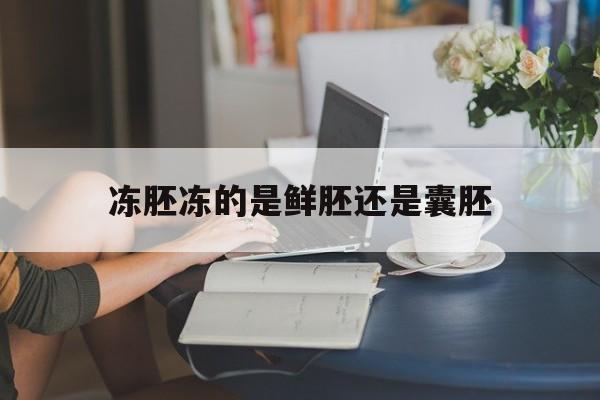 冻胚冻的是鲜胚还是囊胚_冻胚是胚胎质量好的拿来冻吗