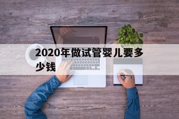 2020年做试管婴儿要多少钱的简单介绍