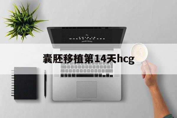 囊胚移植第14天hcg(囊胚移植第14天Hcg1100,是否排除宫外孕)