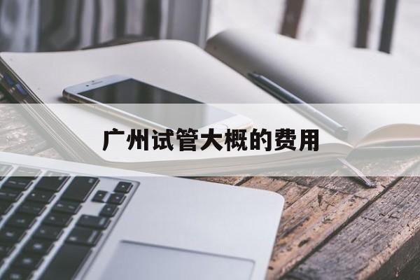 广州试管大概的费用_广州试管婴儿费用大约多少2020年