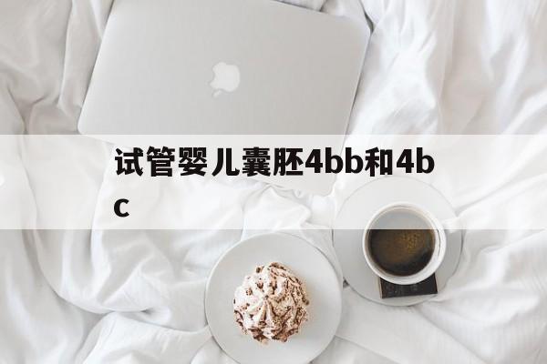 试管婴儿囊胚4bb和4bc(试管婴儿囊胚4bc是什么级别)