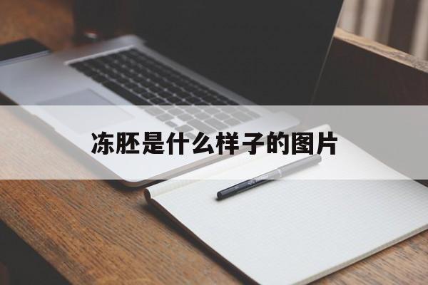 冻胚是什么样子的图片_冻胚是什么样子的图片视频