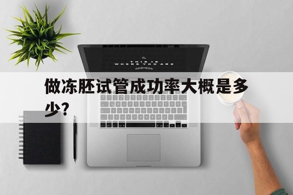 做冻胚试管成功率大概是多少?的简单介绍