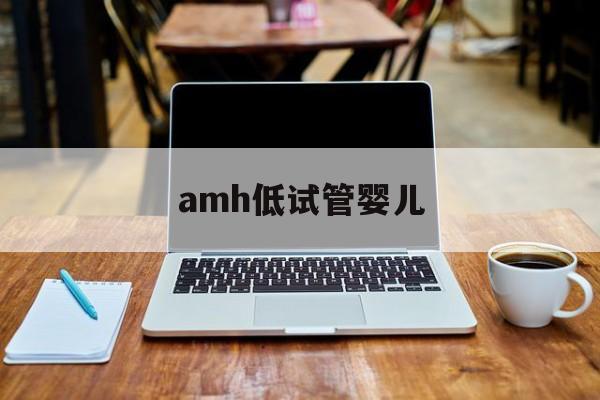 amh低试管婴儿_amh181做试管婴儿