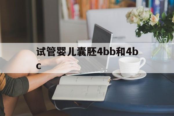 试管婴儿囊胚4bb和4bc(囊胚4bb和4bc哪个质量好)