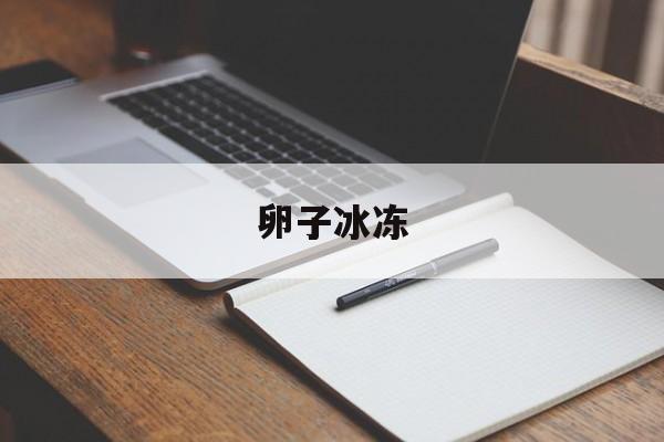 关于卵子冰冻的信息